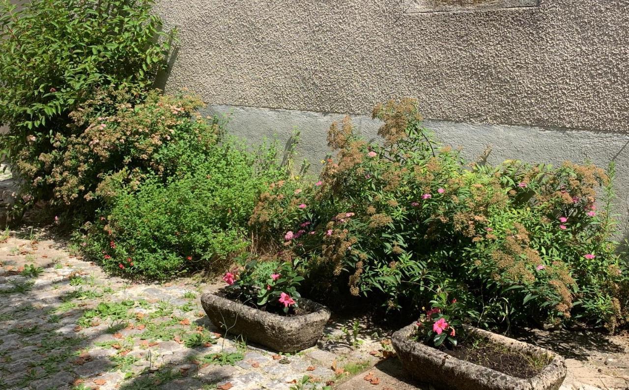 La Cour Pavee, T2 Lumineux, Cosy, Confort 55 M2 Saint-Léonard-de-Noblat Buitenkant foto